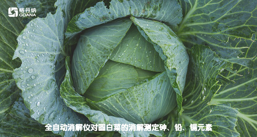 全自動消解儀對圓白菜的消解測定砷、鉛、鎘元素