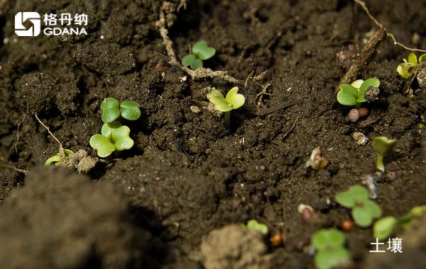 陶瓷加熱板四酸消解農田土壤詳細步驟