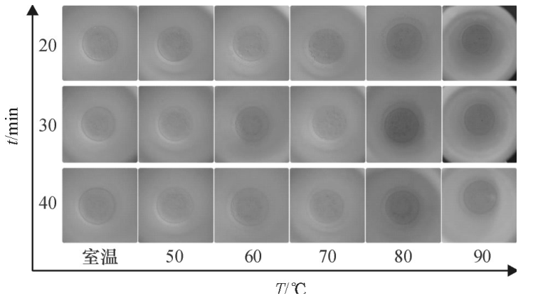 不同密閉消解時間、不同水浴溫度的消解效果